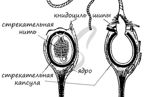 Http mega tor